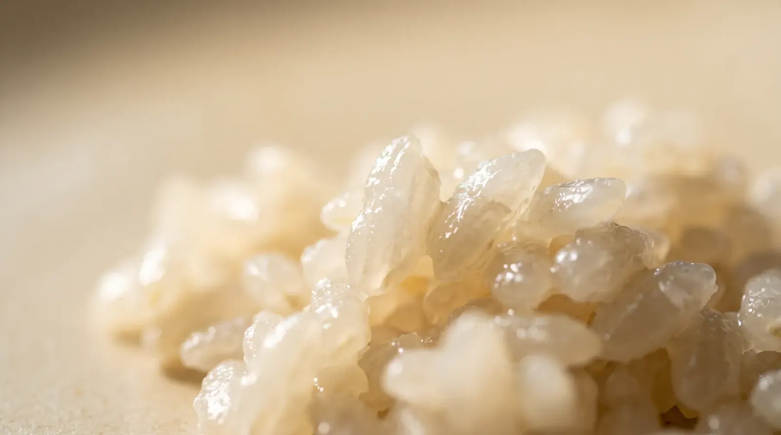 A close view of seasoned sushi rice grains on a cream background